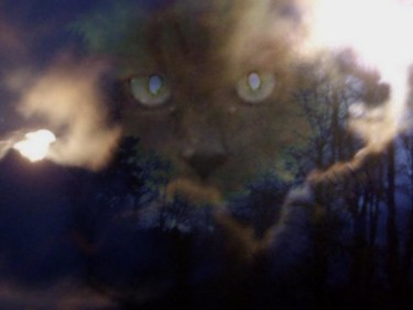 Digital Arts titled "Clandestine" by Karl Donovan, Original Artwork