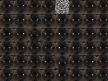 Digital Arts titled "Feline Rebellion" by Karl Donovan, Original Artwork