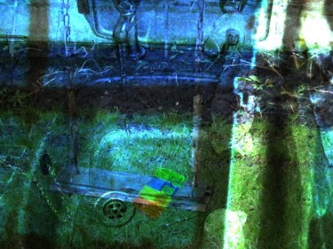 Digital Arts titled "Insomnias Garden" by Karl Donovan, Original Artwork