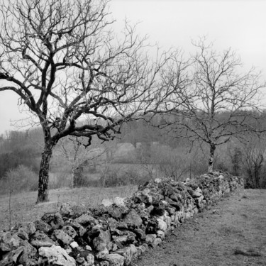 Noyers