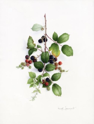 Painting titled "BLACKBERRIES" by Vincent Jeannerot, Original Artwork, Oil