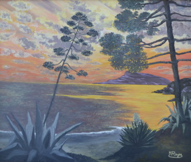Aloès coucher de soleil sur l'étang