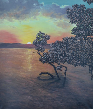 Coucher de soleil sur l'étang