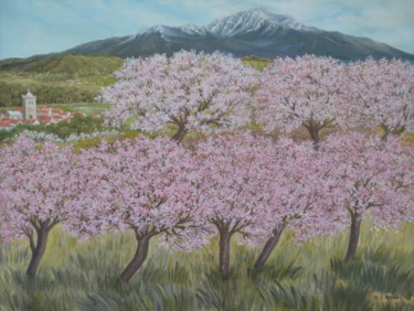 Pêchers en fleurs au pied du Canigou