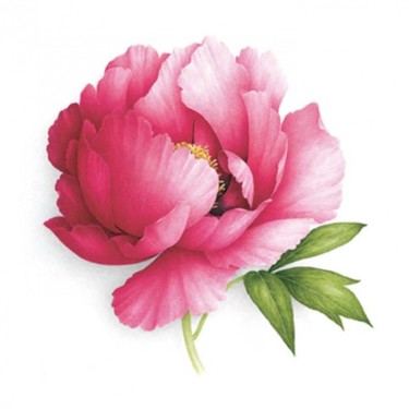 Painting titled "PIVOINE ROCKII. ROC…" by Vincent Jeannerot, Original Artwork, Oil
