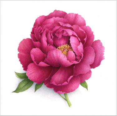 Painting titled "PIVOINE ARBUSTIVE 2" by Vincent Jeannerot, Original Artwork, Oil
