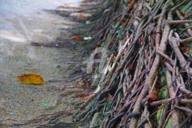 Photography titled "Line Creepers" by Sio Montera, Original Artwork