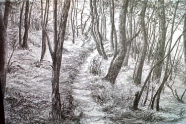 Dessin intitulée "D-F.A.-6." par Murielle Léger, Œuvre d'art originale, Autre