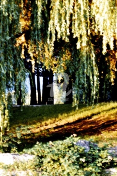 Photographie intitulée "Conte" par Clara Delmas, Œuvre d'art originale