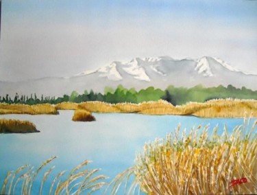 Peinture intitulée "embouchure de l'agly" par Paco Cabrera, Œuvre d'art originale