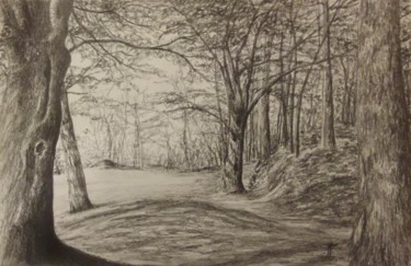 Dessin intitulée "D-F.A.-9." par Murielle Léger, Œuvre d'art originale, Autre