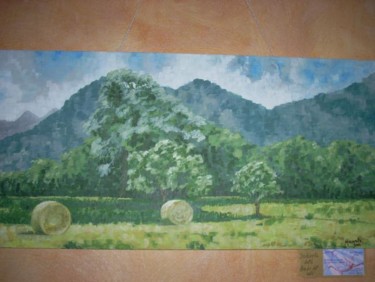 Pittura intitolato "Paesaggio Drubiaglio" da Luciana Lorella Massarotto, Opera d'arte originale