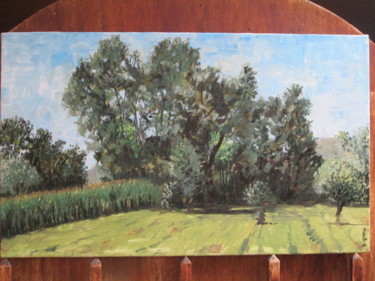 Pittura intitolato "DIETRO CASA" da Luciana Lorella Massarotto, Opera d'arte originale