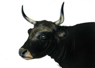 Peinture intitulée "Taureau de Camargue" par Florence Dellerie, Œuvre d'art originale, Huile