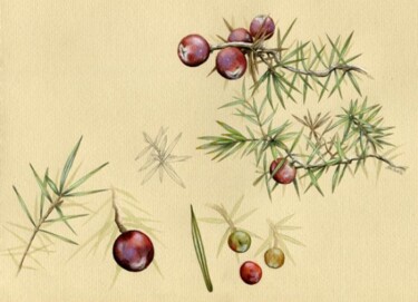 Peinture intitulée "Genévrier" par Florence Dellerie, Œuvre d'art originale, Huile