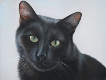Peinture intitulée "Mortimer,Le Chat" par Christian Michaut, Œuvre d'art originale, Huile