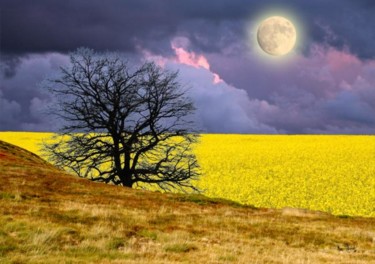 Digital Arts titled "Arbre noir" by Max Parisot Du Lyaumont, Original Artwork, Photo Montage