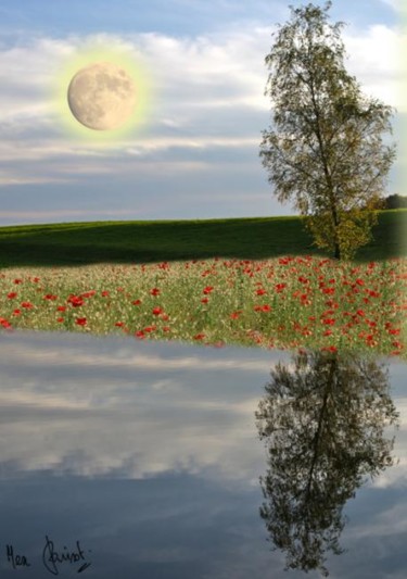 Arts numériques intitulée "Reflet dans l'eau" par Max Parisot Du Lyaumont, Œuvre d'art originale, Photo montage