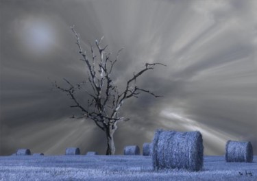 Arte digitale intitolato "La désolation après…" da Max Parisot Du Lyaumont, Opera d'arte originale, Fotomontaggio