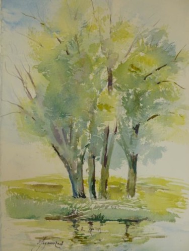 Peinture intitulée "Bouquet de saules" par Pierre Feyeux, Œuvre d'art originale, Huile