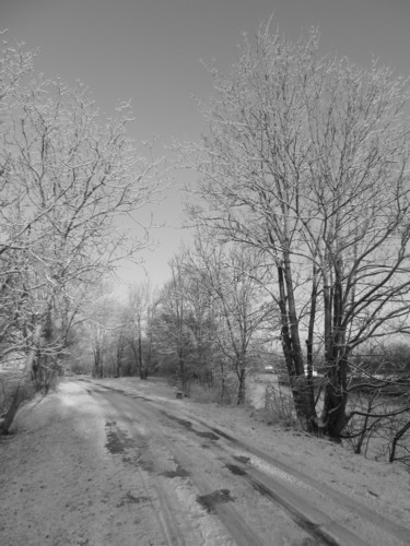Photographie intitulée "Bord de Seine ennei…" par Brigitte Mathé (MBL), Œuvre d'art originale