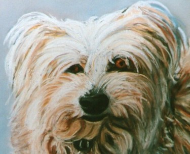 Dessin intitulée "Bichon mignon" par Toine, Œuvre d'art originale, Pastel