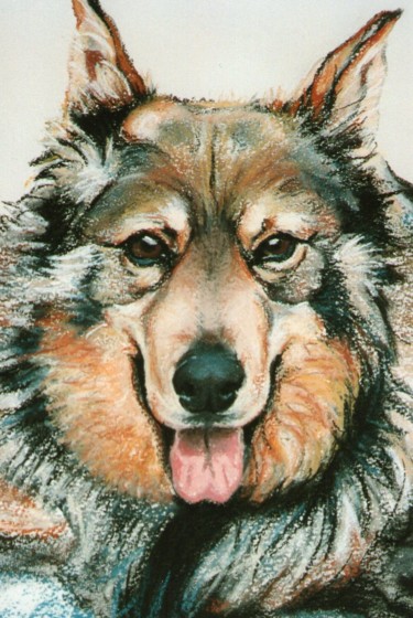 Dessin intitulée "Gamin" par Toine, Œuvre d'art originale, Pastel