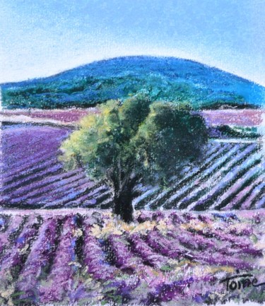 Peinture intitulée "Valensole" par Toine, Œuvre d'art originale, Huile