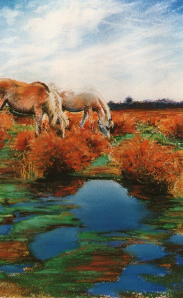 Peinture intitulée "Baisses et sansouire" par Toine, Œuvre d'art originale, Huile