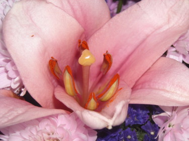 Pollen