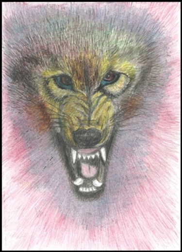 Drawing titled "Fiara 4" by Victor Covaliov, Original Artwork