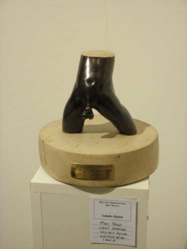 Sculpture titled "P2212954.jpg" by Catalin Geana, Original Artwork
