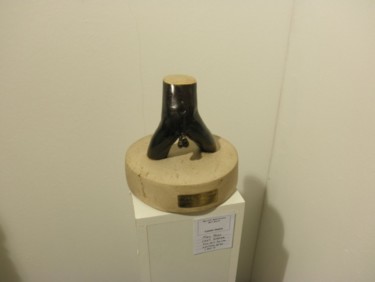 Sculpture titled "P2212955.jpg" by Catalin Geana, Original Artwork