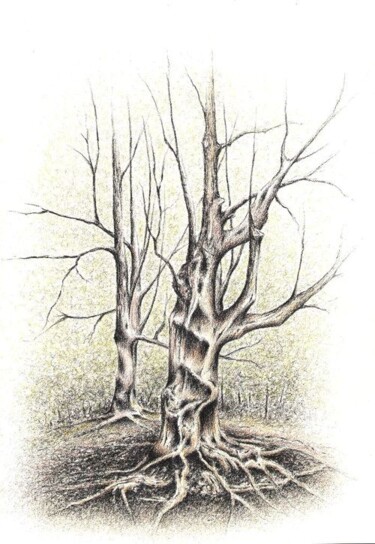 Drawing titled "Arrayán" by Tamara Valdovino, Original Artwork