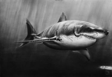 "ercansebat,shark,dr…" başlıklı Resim Ercan Sebat tarafından, Orijinal sanat, Diğer