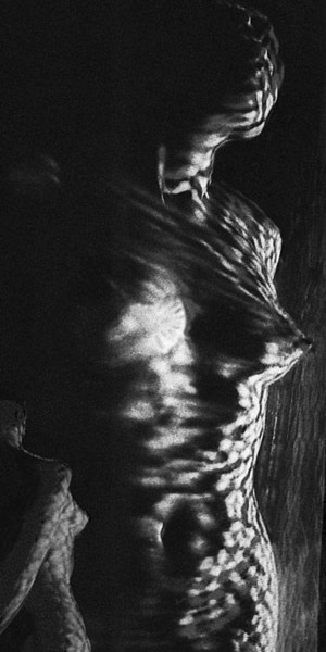 Photographie intitulée "Tigresse" par Michel Hervo, Œuvre d'art originale