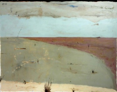 Peinture intitulée "Les salins de Giraud" par Philippe Roussel, Œuvre d'art originale, Huile