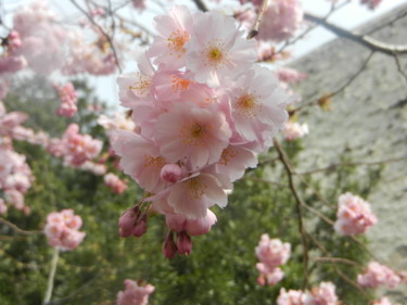 Printemps