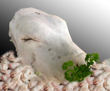 Photography titled "Tête de Veau" by Hubert Holtmann, Original Artwork