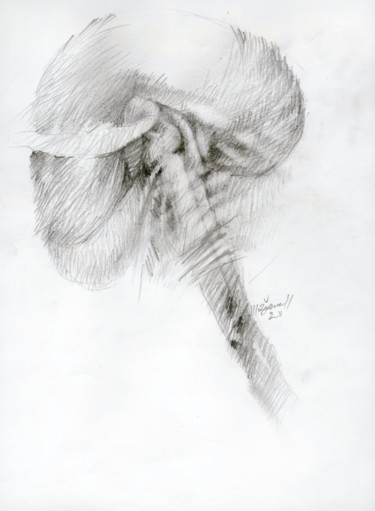 Dessin intitulée "Azzerb b wusan (la…" par Meziane Boussaid, Œuvre d'art originale, Crayon