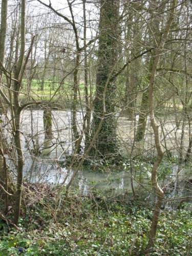 Photographie intitulée "Rivière sérénité" par Noëlle Harault, Œuvre d'art originale