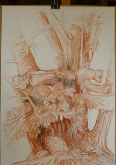 Dessin intitulée "Souche du jeune châ…" par Pierre Feyeux, Œuvre d'art originale, Autre
