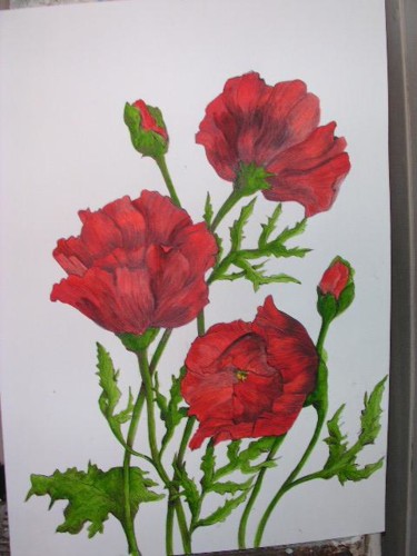 Peinture intitulée "coquelicots entrela…" par Ghyslaine De Sevlian, Œuvre d'art originale, Huile