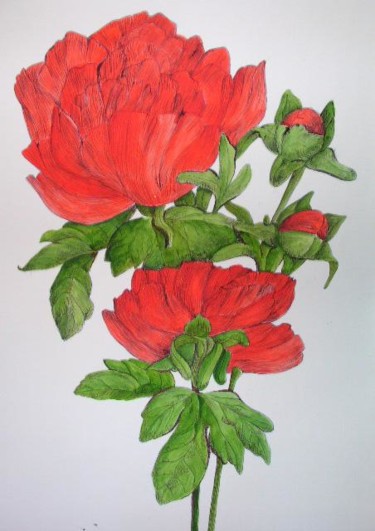 Gravures & estampes intitulée "pivoines" par Ghyslaine De Sevlian, Œuvre d'art originale, Gravure