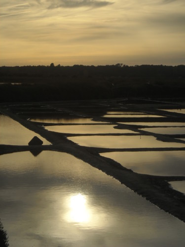 Coucher de soleil sur les marais salants - Vendee-Olonne-