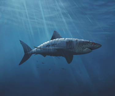 Robot Shark