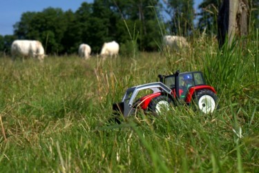 Photographie intitulée "wmobil 3" par Marc Steiner, Œuvre d'art originale