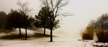 Photography titled "L'INVERNO CANADESE" by Janos Gardonyi, Original Artwork