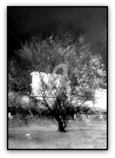 Photographie intitulée "Arbre - Chaussée De…" par Pascaline, Œuvre d'art originale