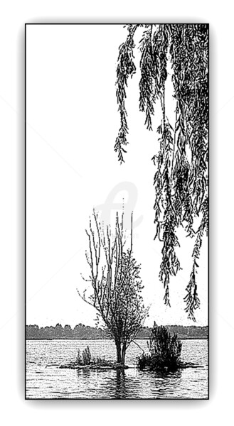 Dessin intitulée "Au fil de l'eau" par Pascaline, Œuvre d'art originale, Autre